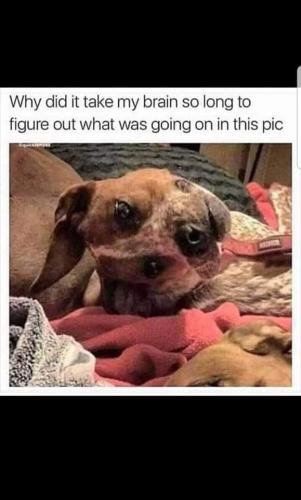 FB_IMG_1662326962287