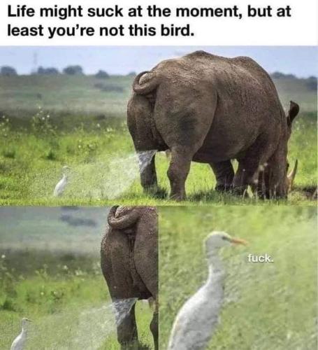 FB_IMG_1663769108552