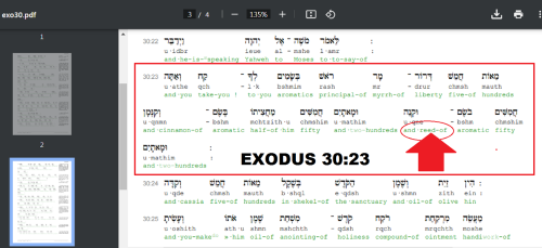 306905798_1068994730484727_6655265194414294041_n
