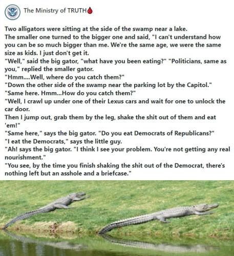 Alligators Politicians Draining the Swamp