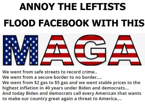 Annoy the leftists Flood facebook with this