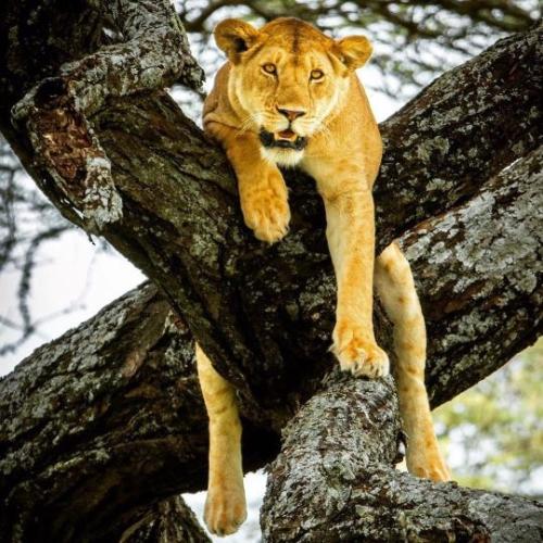 tumblr_ce16b8853a3127f5c84e4d2e08d7dae5_ec81577b_540