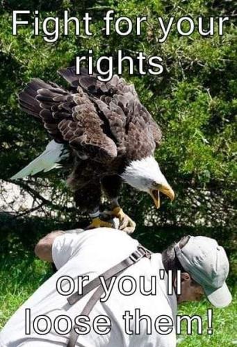 FB_IMG_1663078605271
