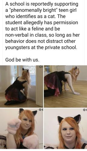 Screenshot_2022-09-11-09-55-22-592_com.facebook.katana