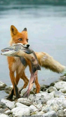 tumblr_1fbba129805fe2fda4d8599cbd1cd07e_63c3b954_640