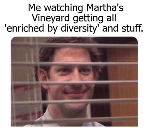 Diversity in Marthas Vineyard