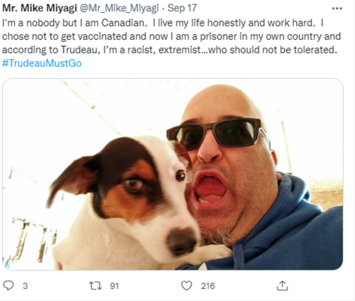 mike miyagi
