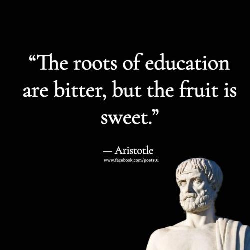 FB_IMG_1664088431213