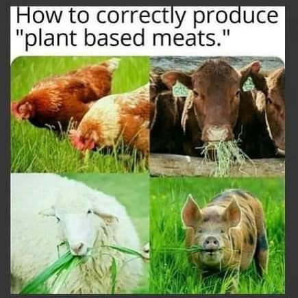 FB_IMG_1662716361067