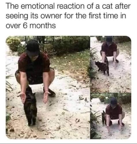 FB_IMG_1662748808339