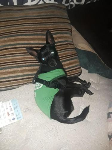 3478d699-bea6-46a9-888c-fd88d85f31e2