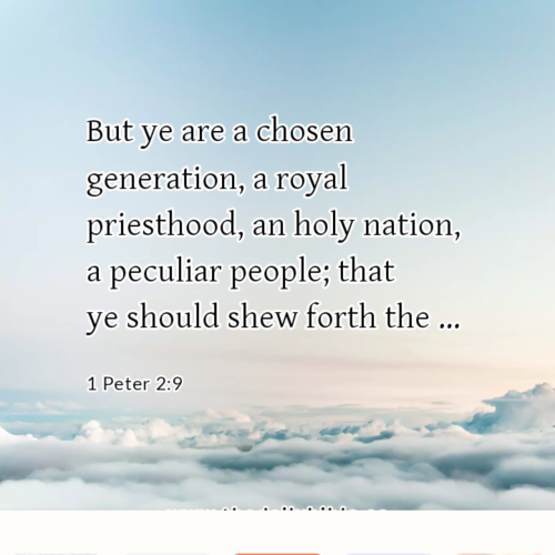dailybible_20220906-160156_1_Peter_2-9