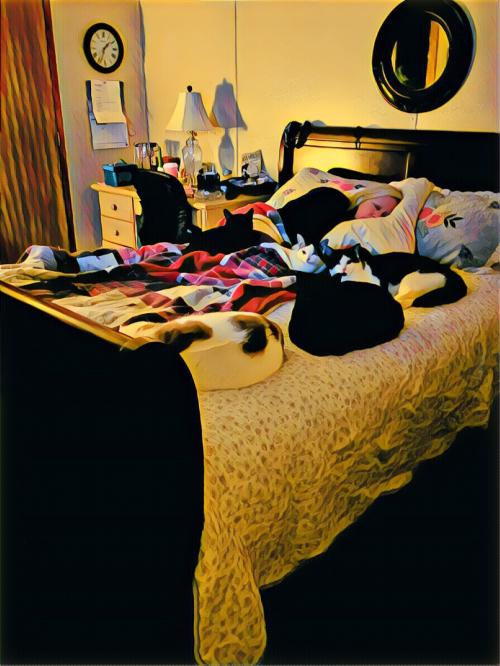 IMG_20220106_140621320 (1)