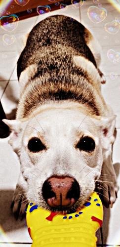 Picsart_22-09-14_21-58-17-474