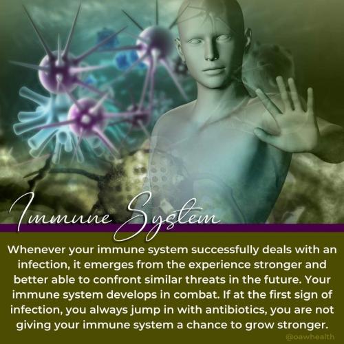 396C37D2-453E-401E-BBE1-67BBF4C06260-83751-000028B8CD9B1C07