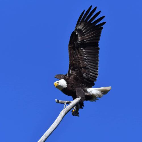 FB_IMG_1644729844052