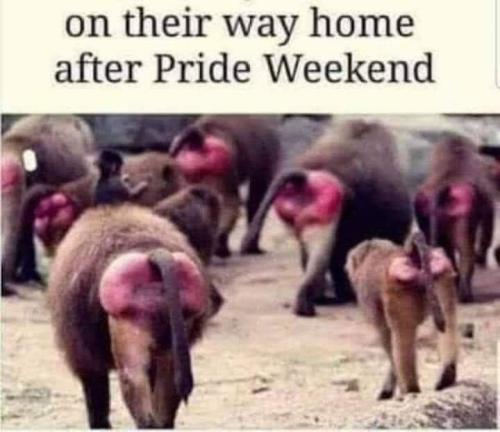 FB_IMG_1662176981948