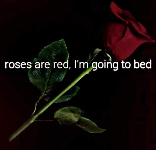 FB_IMG_1658214817106