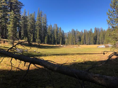 1C40718C-E44D-4772-AC8D-66B743293DD5