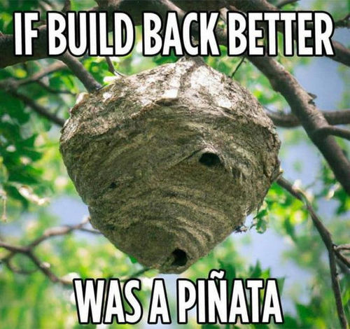 buildbackbetter82