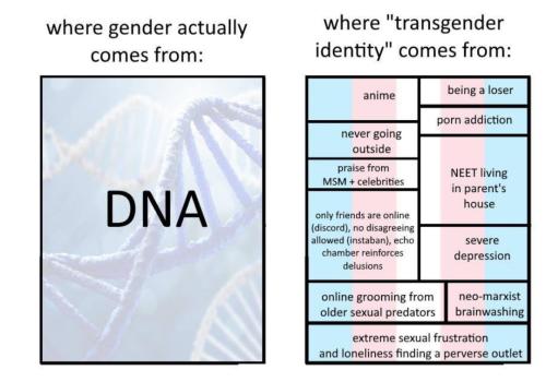 Screenshot_20220911-042914