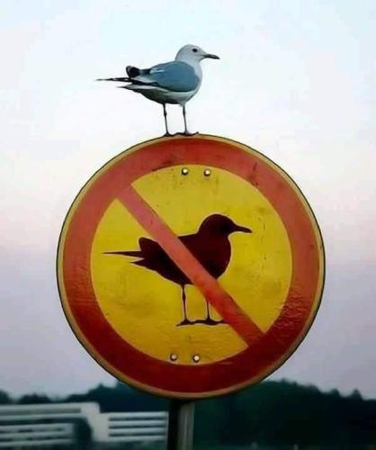FB_IMG_1664294854551