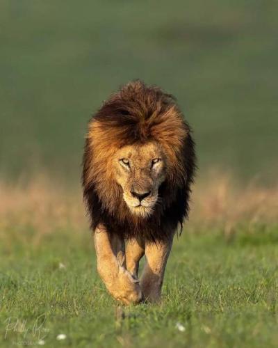 tumblr_b39585126948f6c207f0040230866ab0_c1e44a34_540