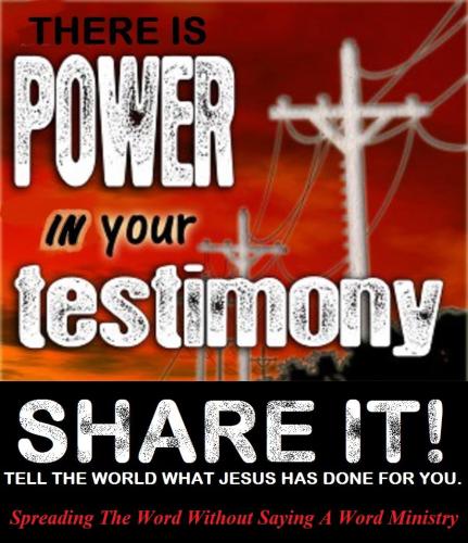 12045485_930789570336508_8795910414206790973_o