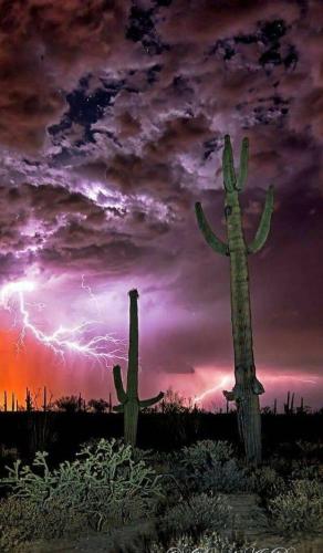 image_0621184F-3FFF-4BD9-87FB-4536F06118E0