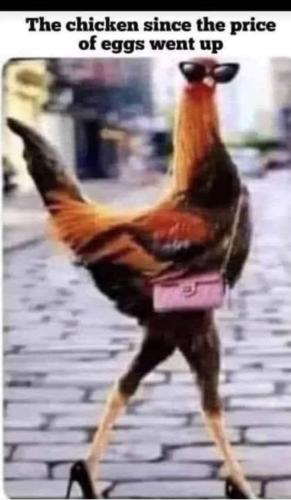 18:36:08 GMT-0400 (EDT)