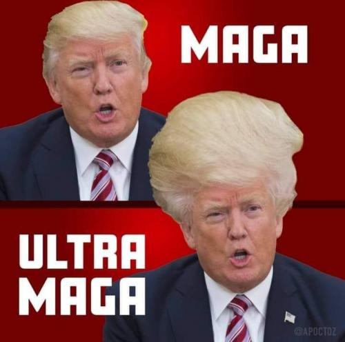 FB_IMG_1663215585998