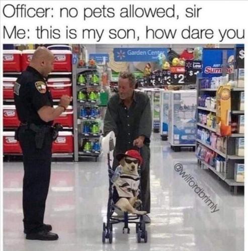 FB_IMG_1663169598285