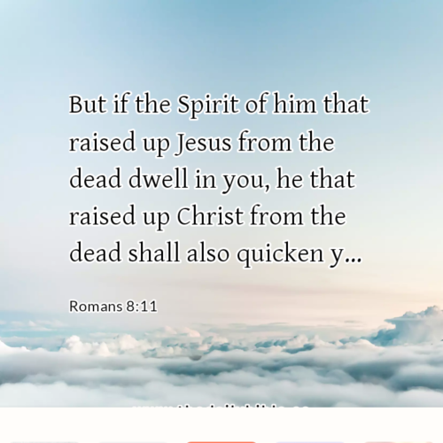 dailybible_20220911-162011_Romans_8-11