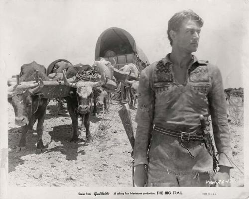 1GrHxlB8PNmrTsviv3aDgw