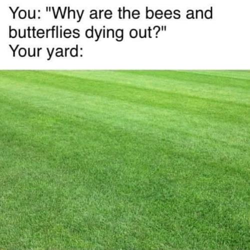 19:47:18 GMT-0500 (CDT)