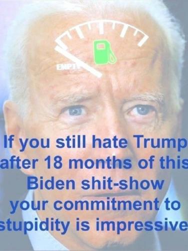 biden shit show