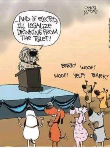 FB_IMG_1662379842652