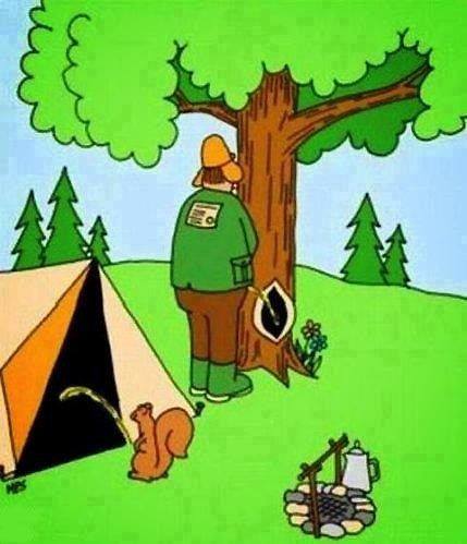 40461404_1944368532523048_5395302835942326272_n