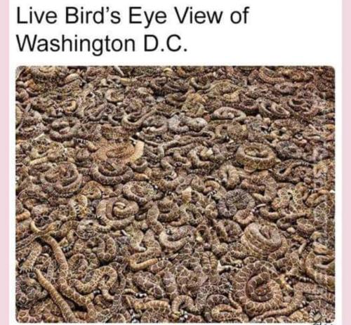 Screenshot_20220915_060114