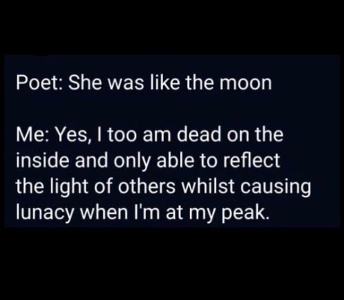 tumblr_66391dd43c411b335b4288cb993ea734_f31a44ff_540