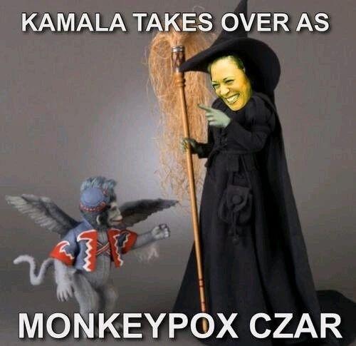 b4c96df1-28b9-4130-865e-e7485d885c2a