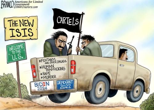 Drug Cartels 1