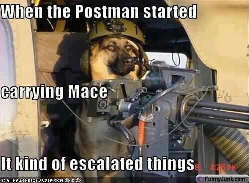 426722_10151145620128606_1615273195_n