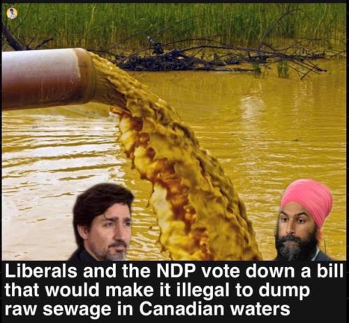 voted for a raw sewage dump