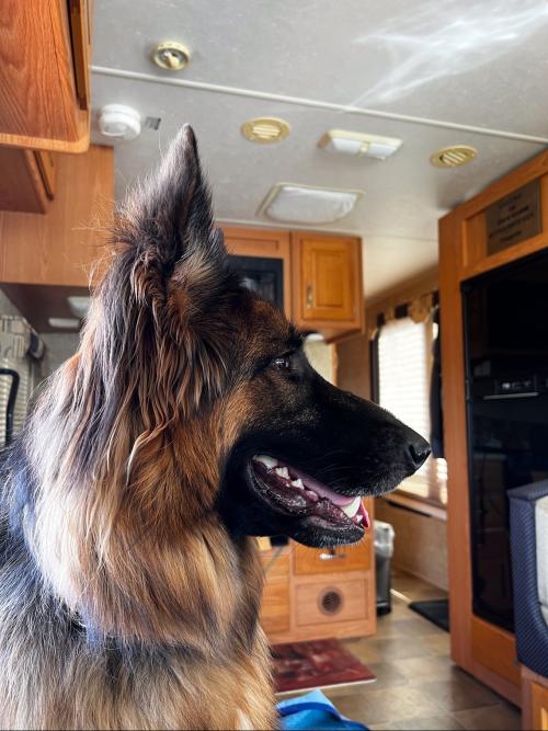 6EAE311F-EC5C-466E-A028-DAEAB065DAB1