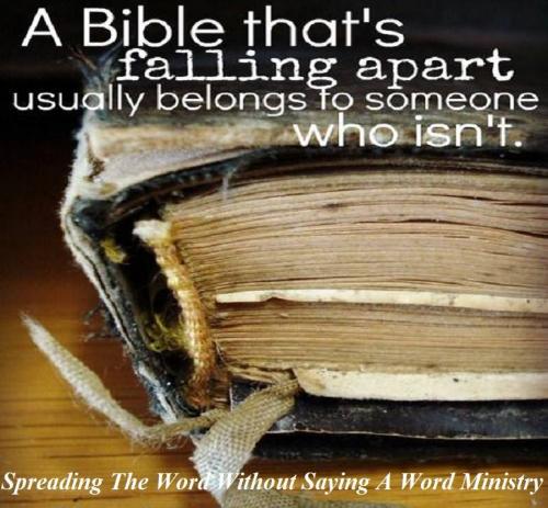 12189563_946893482059450_7713694395891294890_n