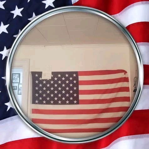 FB_IMG_16566919524072336