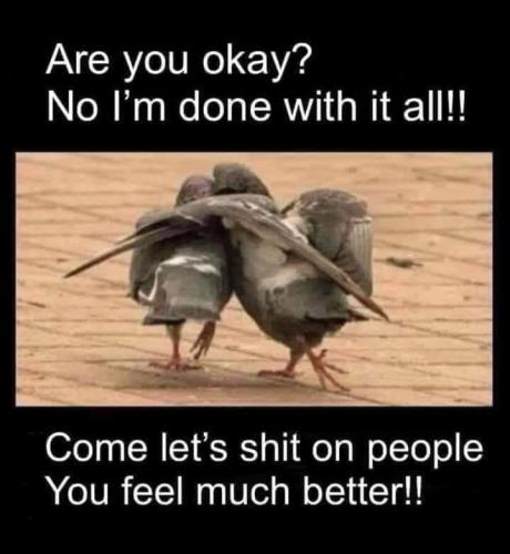 FB_IMG_1664295935826