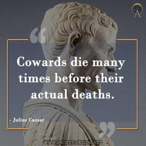 306273239_8314693138571557_2931383514057724590_n