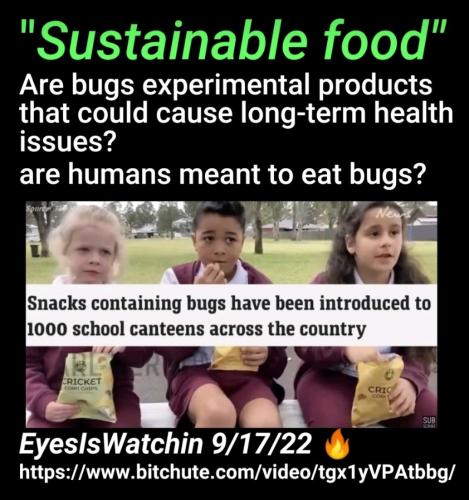 Screenshot_2022-09-20-09-01-39-999_com.google.android.apps.photos